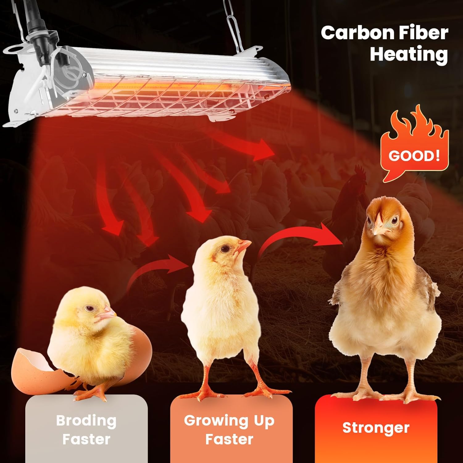 Best heat lamp for newborn calves
