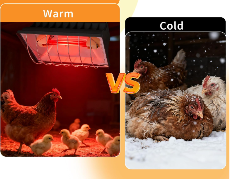 Pet heater dropshipping China